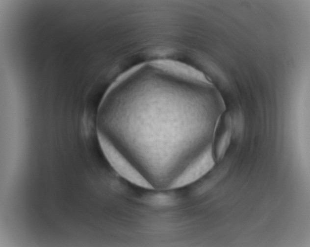 X0000113280236200910051046