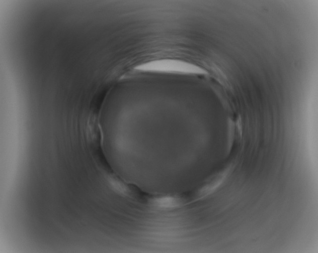 X0000113280237200910051046