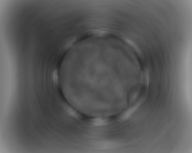 X0000113280238200910051046