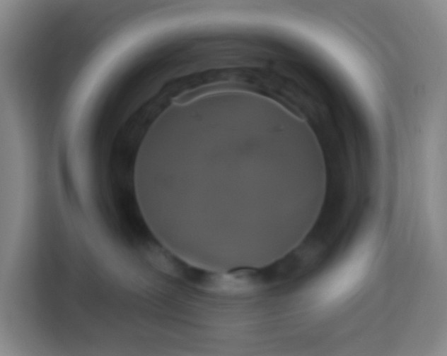 X0000113280239200910051046