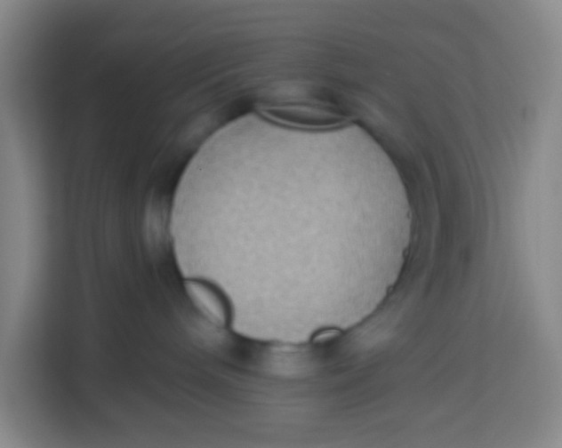 X0000113280240200910051046