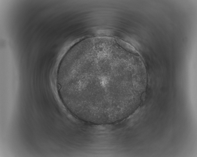 X0000113280241200910051046