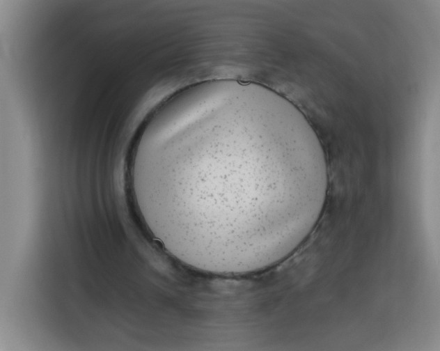 X0000113280242200910051046