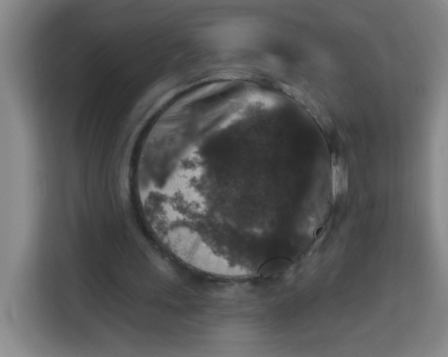 X0000113280243200910051046