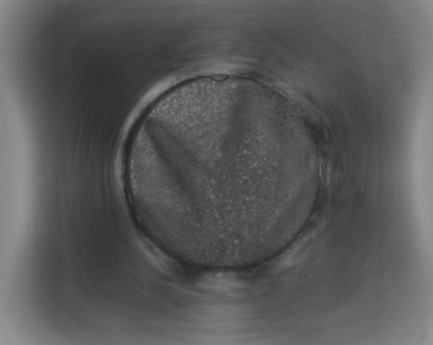 X0000113280244200910051046