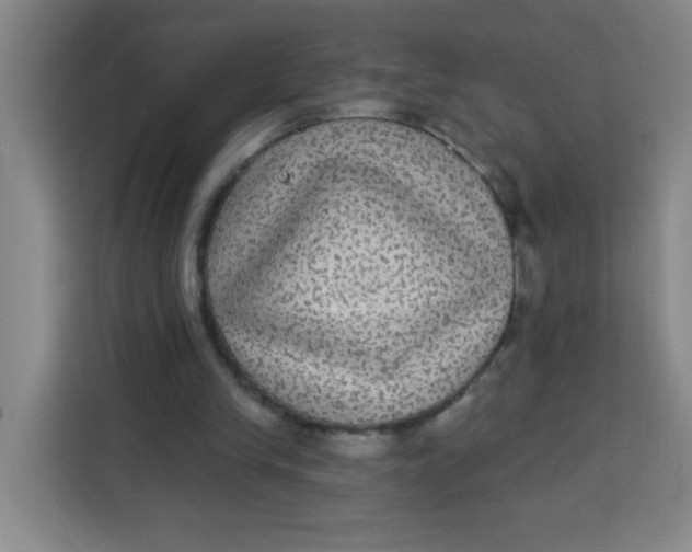 X0000113280245200910051046