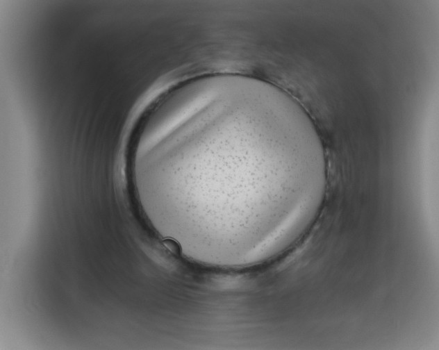 X0000113280246200910051046