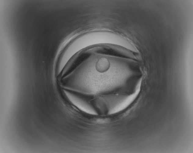 X0000113280248200910051046