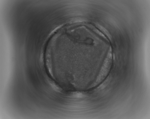 X0000113280249200910051046