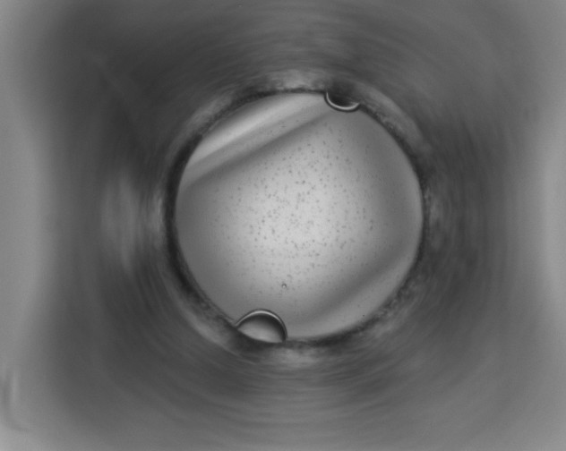 X0000113280250200910051046