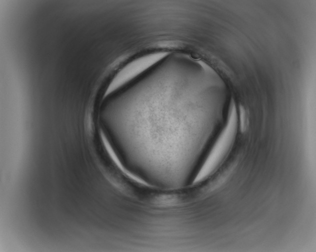 X0000113280252200910051046