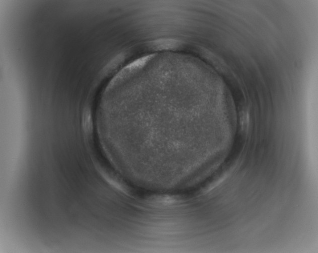 X0000113280254200910051046