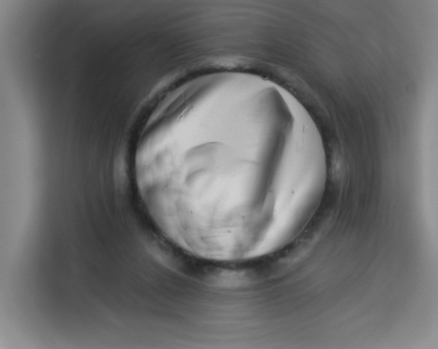 X0000113280256200910051046