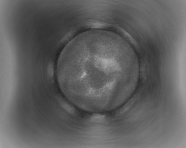 X0000113280257200910051046