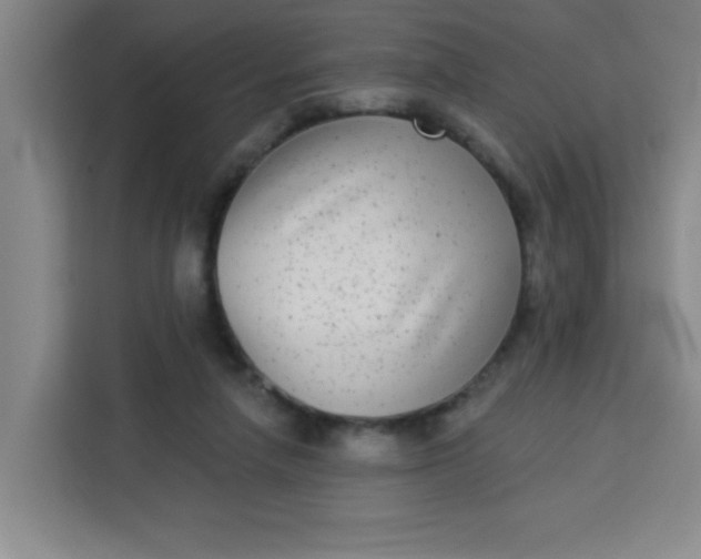 X0000113280258200910051046