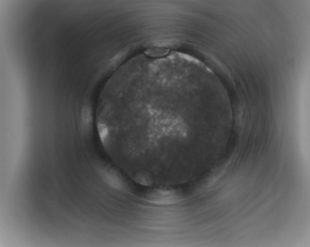 X0000113280260200910051046