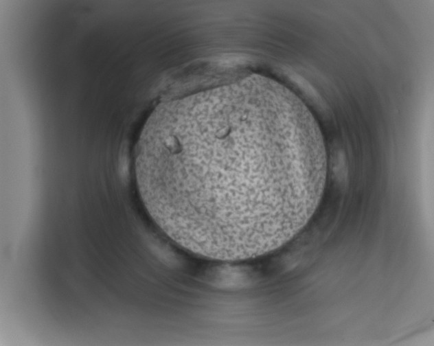 X0000113280261200910051046