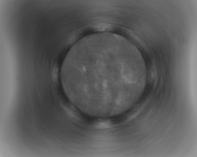 X0000113280263200910051046