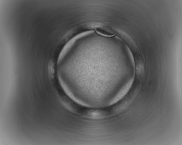 X0000113280264200910051046