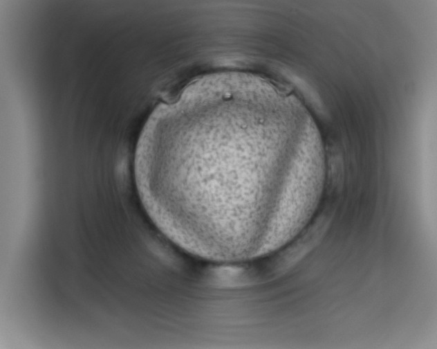 X0000113280265200910051046