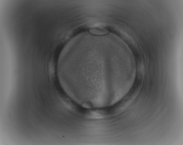 X0000113280268200910051046