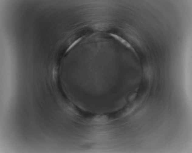 X0000113280271200910051046