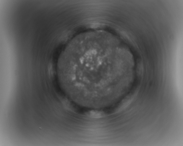 X0000113280272200910051046