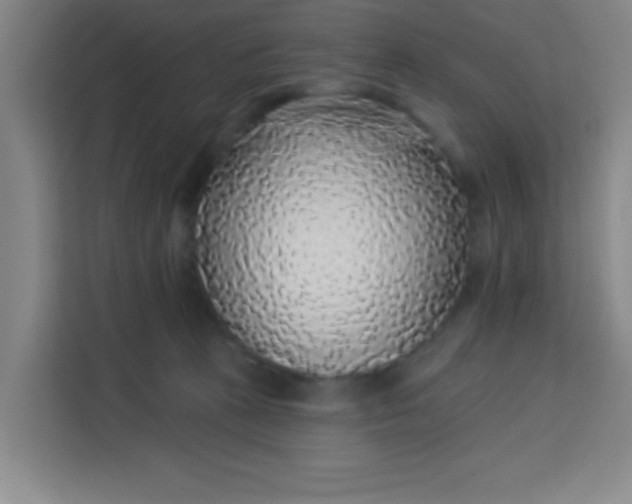 X0000113280273200910051046