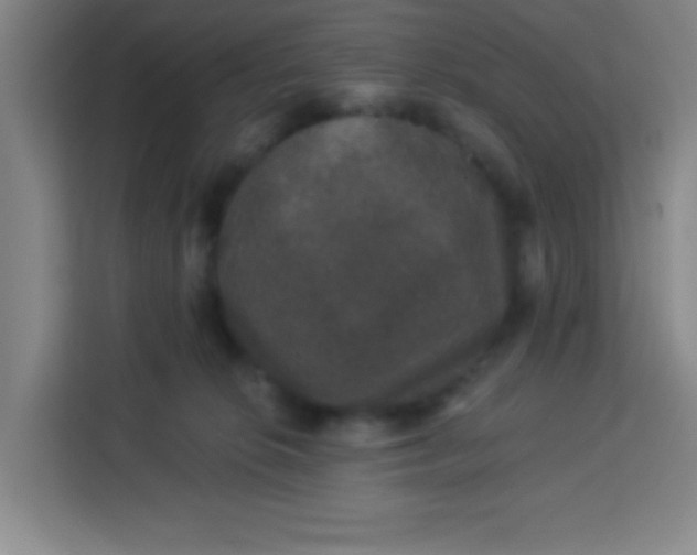 X0000113280276200910051046