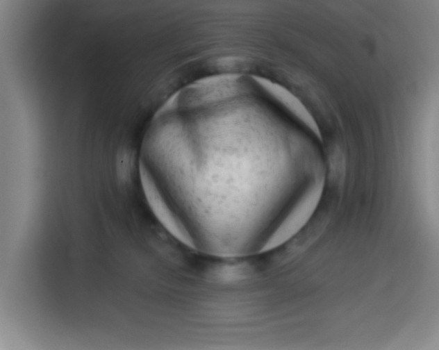 X0000113280278200910051046