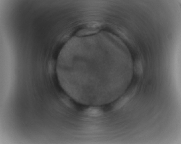 X0000113280280200910051046