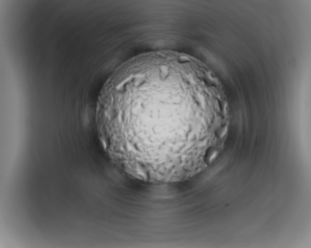 X0000113280281200910051046