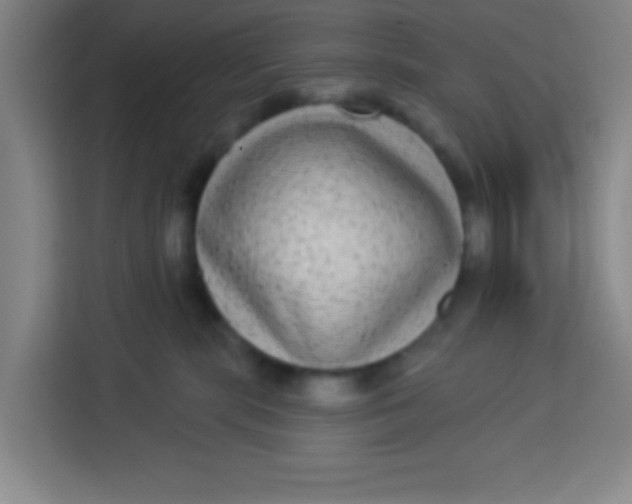 X0000113280283200910051046