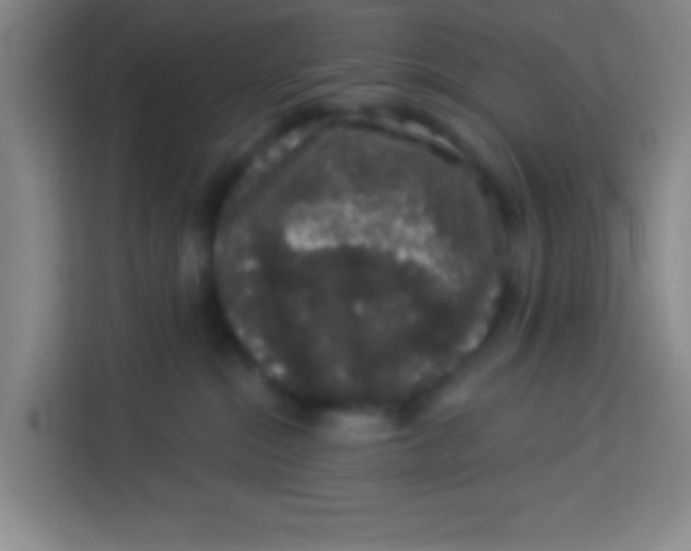 X0000113280284200910051046