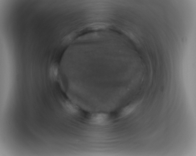 X0000113280288200910051046