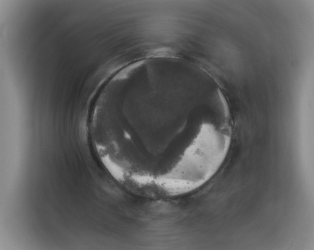 X0000113280290200910051046