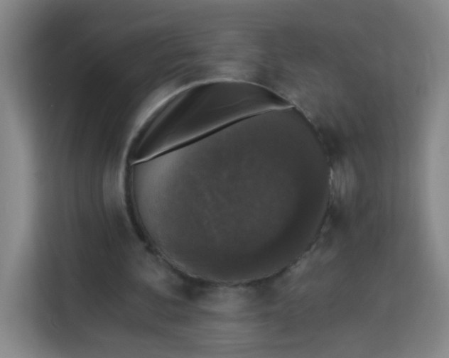 X0000113280292200910051046