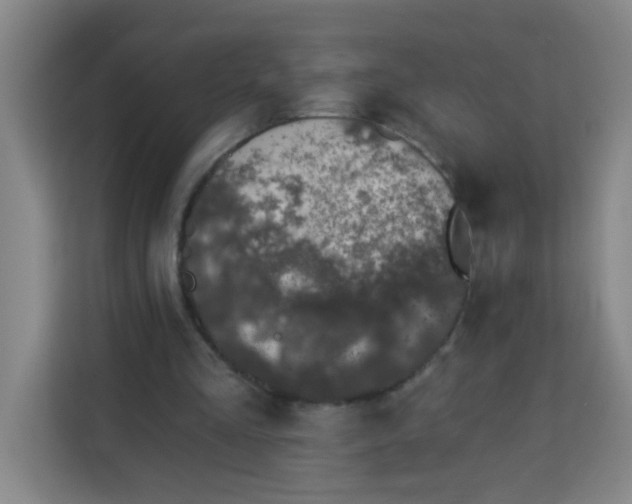 X0000113280293200910051046