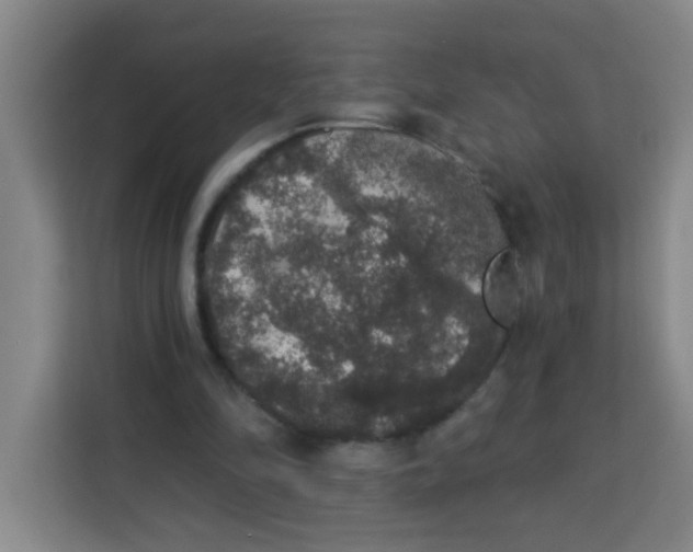 X0000113280294200910051046