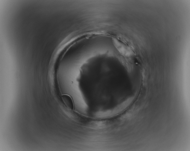 X0000113280295200910051046