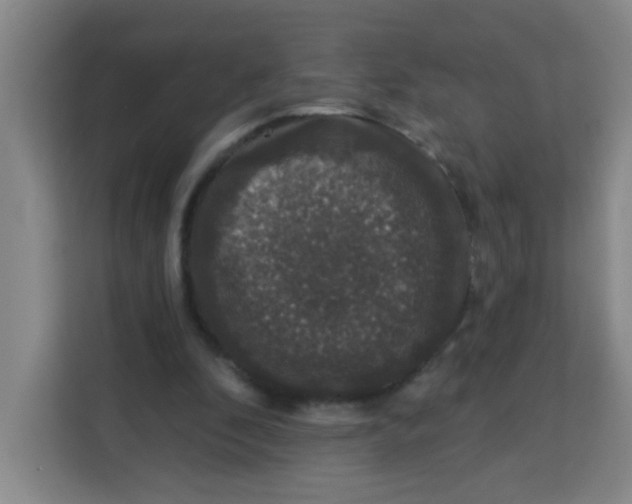 X0000113280296200910051046