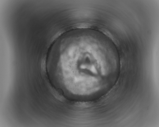 X0000113280297200910051046