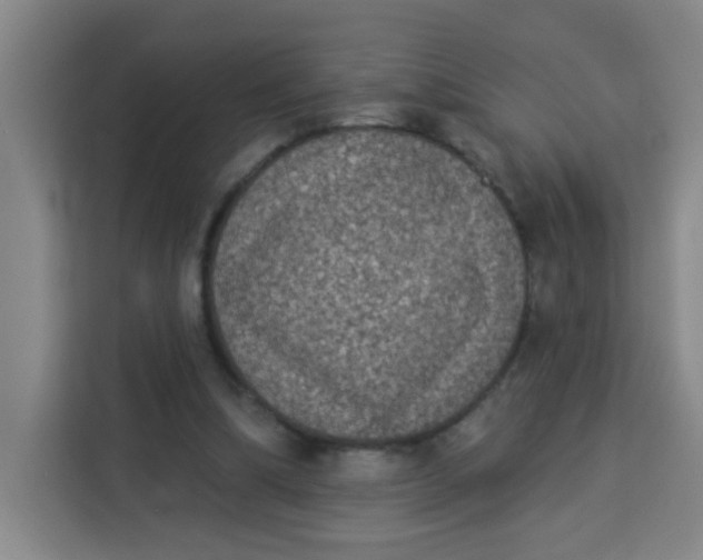 X0000113280298200910051046