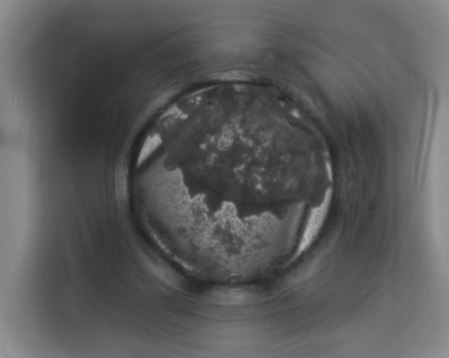 X0000113280299200910051046