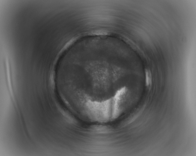 X0000113280300200910051046