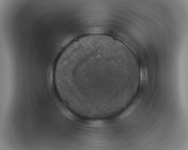 X0000113280301200910051046