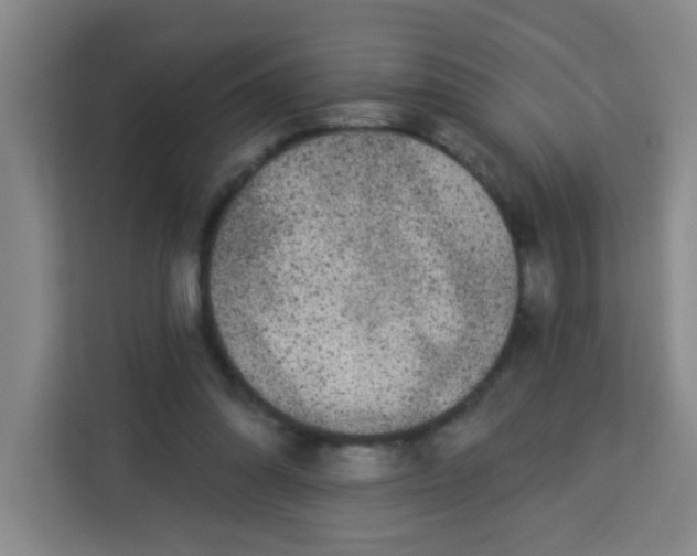 X0000113280302200910051046