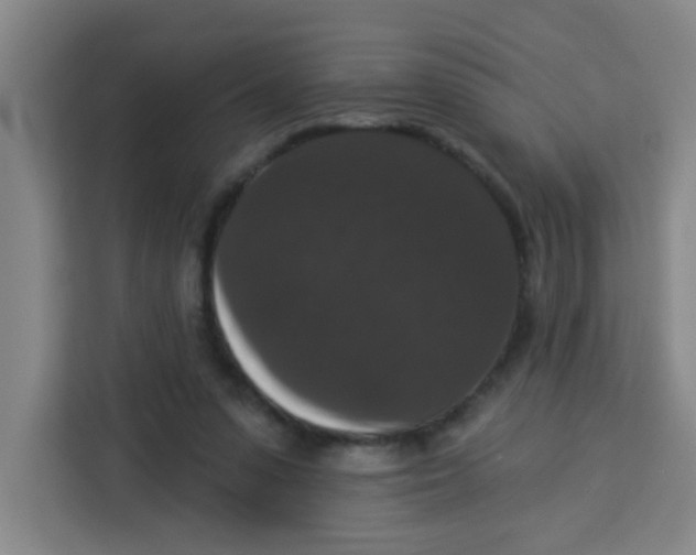 X0000113280303200910051046