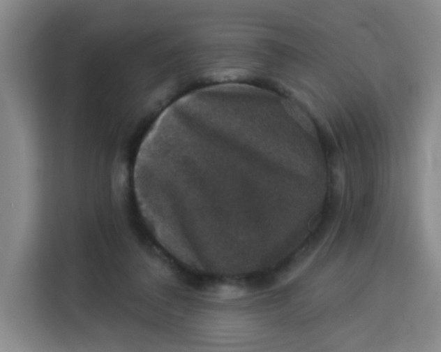 X0000113280308200910051046