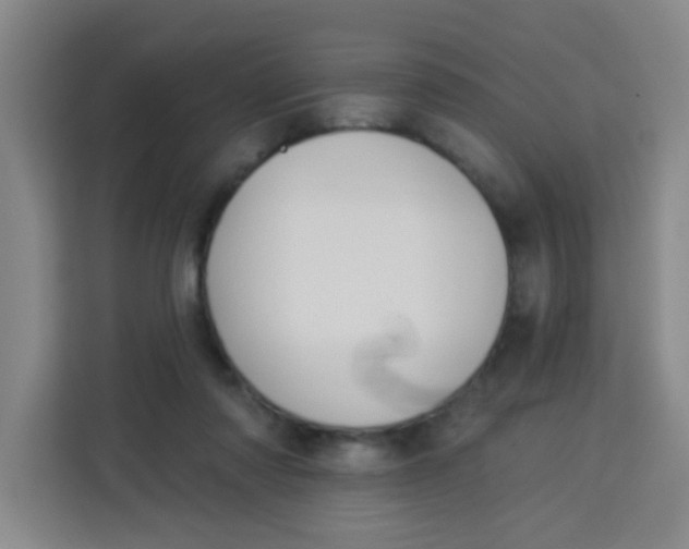 X0000113280310200910051046